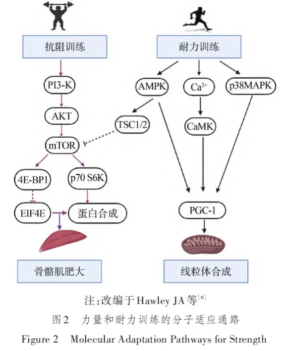 1770281397836667.png c.png
