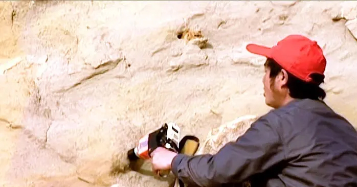 产品派发公司哪家好