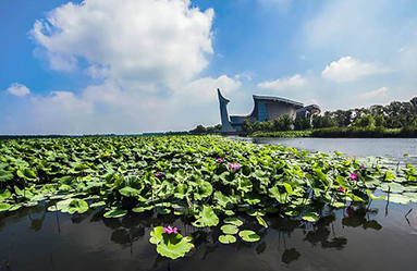 鐵嶺蓮花湖國(guó)家濕地公園景區(qū)電子售檢票系統(tǒng)正式簽約，7月23日正式上線運(yùn)行