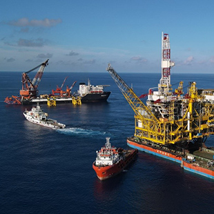 中国海洋石油公司智能通道管理系统