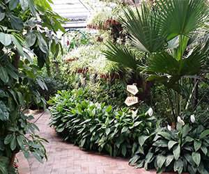 重庆室内植物生态园