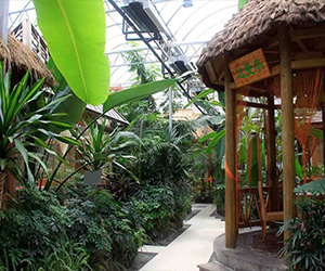 贵州室内植物生态园