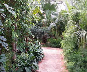 河北室内植物生态园