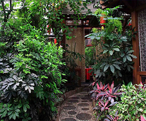 室内植物生态园