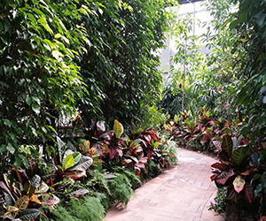 福建室内植物生态园