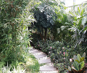 室内植物生态园