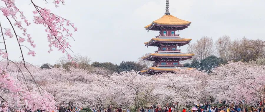 文旅景區(qū)運營關鍵點分析