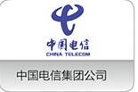 中國電信集團公司
