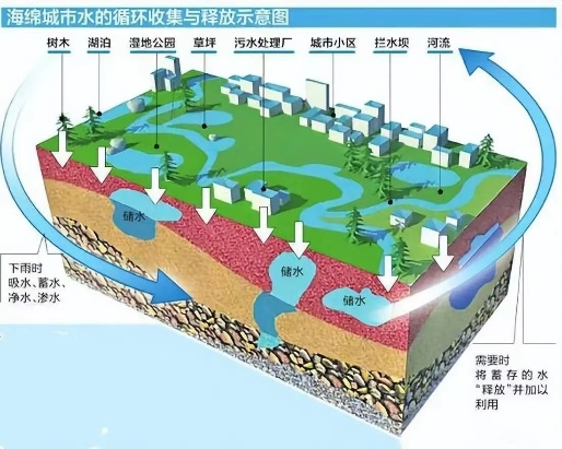 海绵城市小课堂