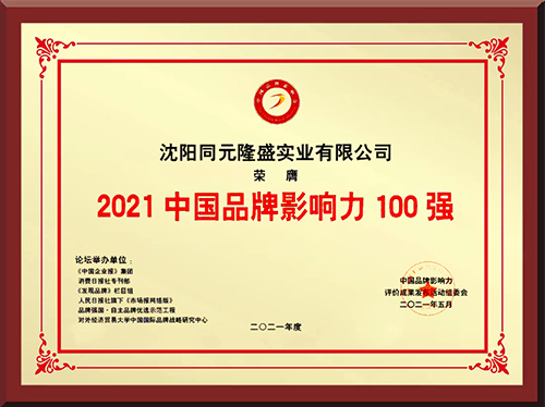 2021 中国品牌影响力100强