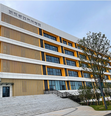 武汉新城未来学校