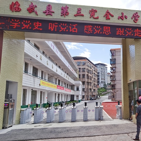 郴州临武县第三完全小学