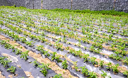 北京选好养老院,让养老院成为父母第二个家