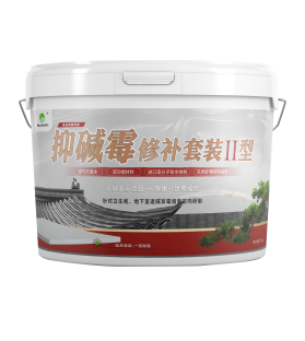 厦门抑碱霉修补套装II型