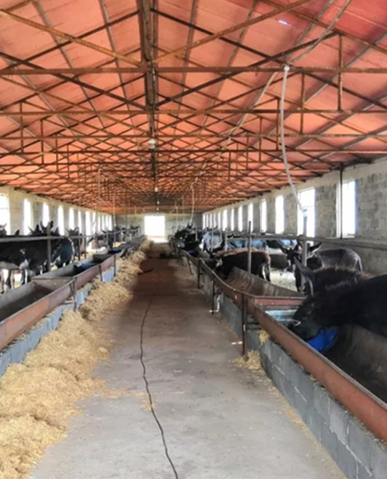 搞养殖，夏季苍蝇太多怎么办？