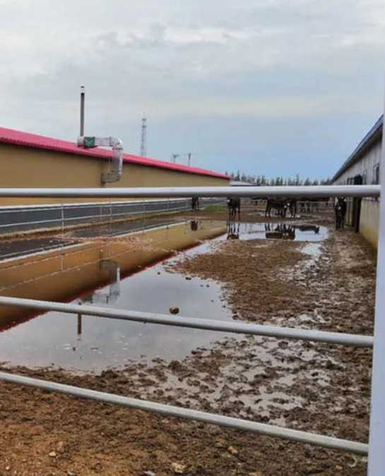 驴圈舍建设需要考虑的几个因素