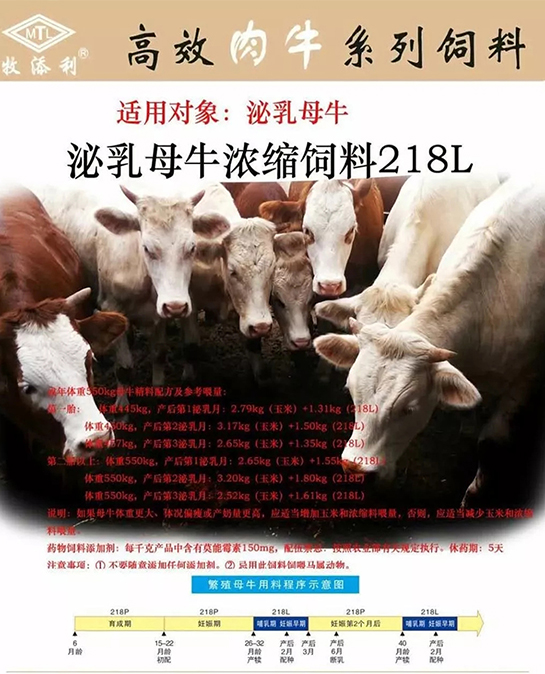 羊疾病防疫最常用的8种疫苗