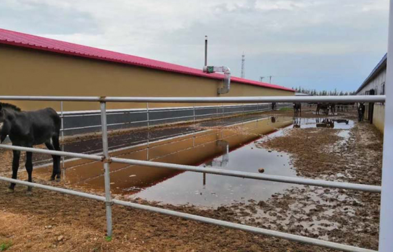 驴圈舍建设需要考虑的几个因素