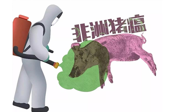 权威专家谈三种疫病接连爆发：系偶发无必然联系