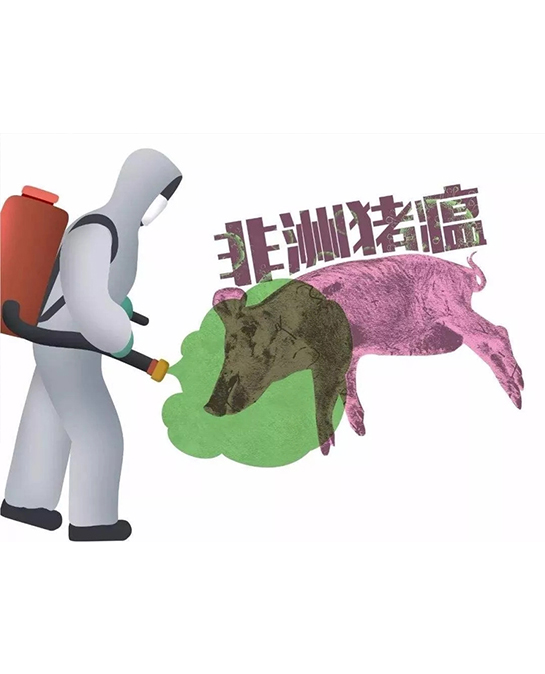 权威专家谈三种疫病接连爆发：系偶发无必然联系