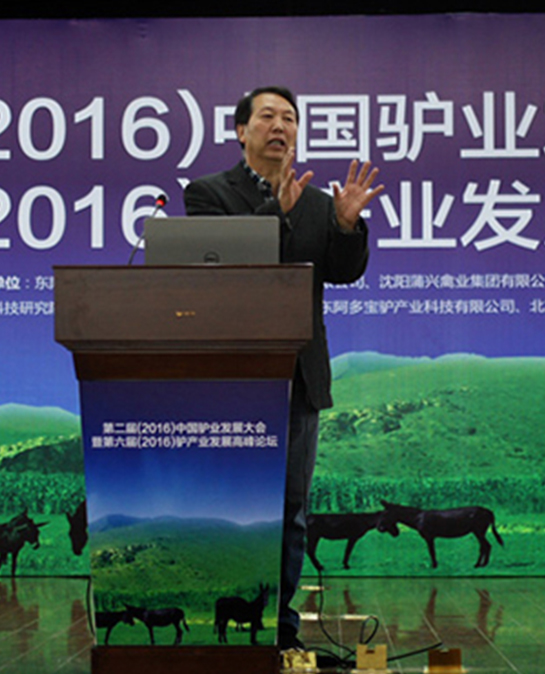 产业盛会 高峰交流