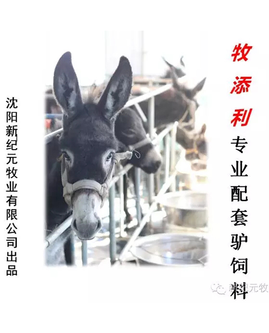 牧添利牌专业配套驴饲料