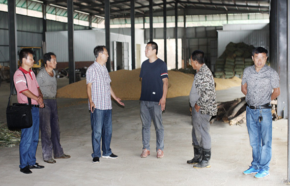 辽宁日报：辽宁省7家合作社签约玉米价格保险 成为批受益者