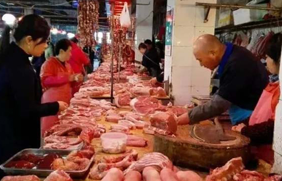 年末猪价怎么走？这些数据告诉你