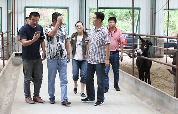 指导要听专家的，合作企业要专业的！