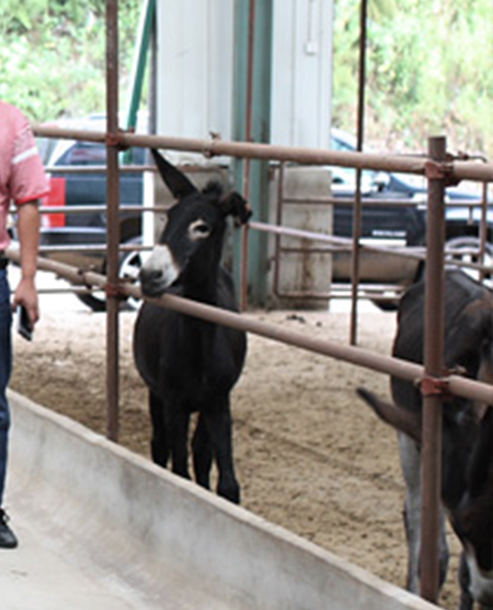 指导要听专家的，合作企业要专业的！