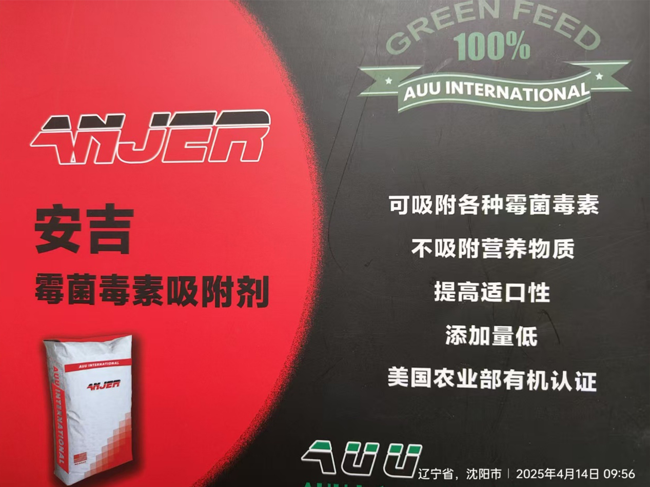 秋天的羊为什么成活率低