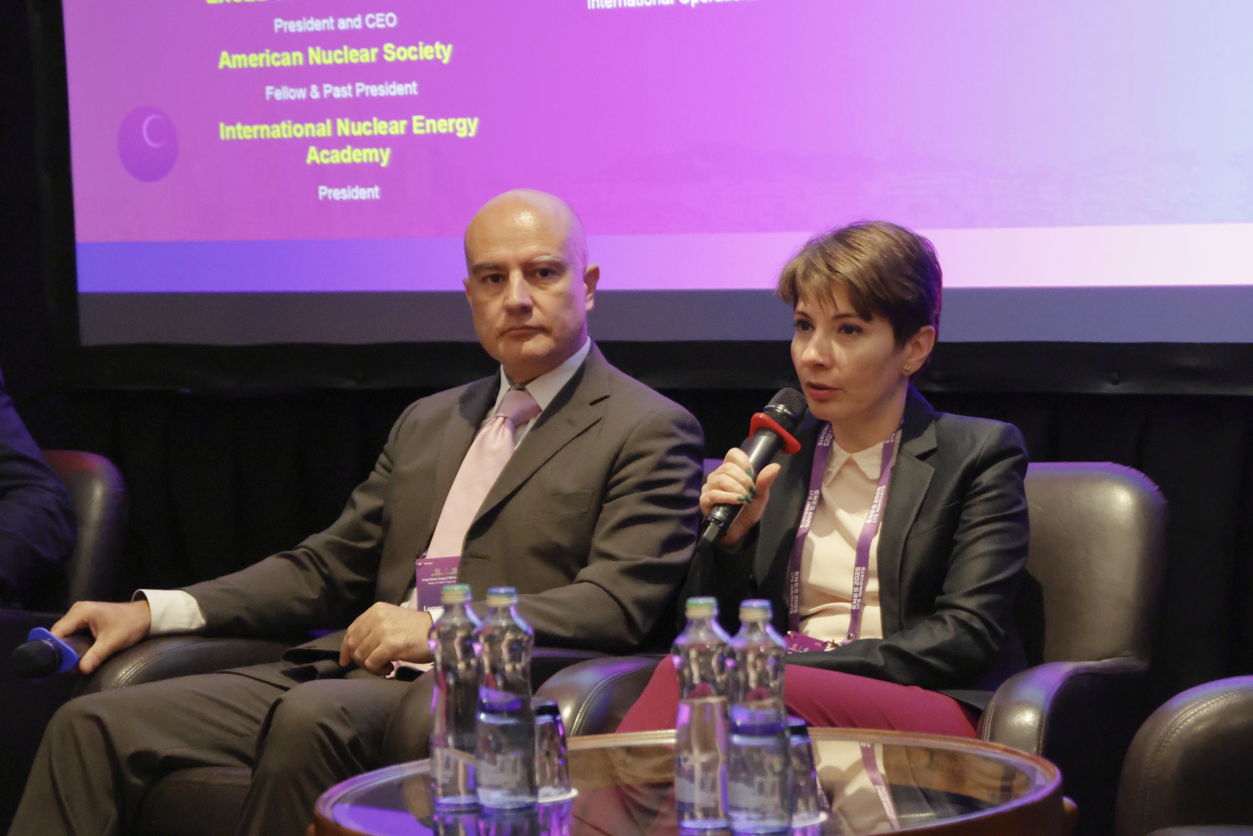 Day 2 Morning Panel-Lessons Learned from New Nuclear Projects: Strategies for Managing Schedule, Costs and Safety in Diverse Environments