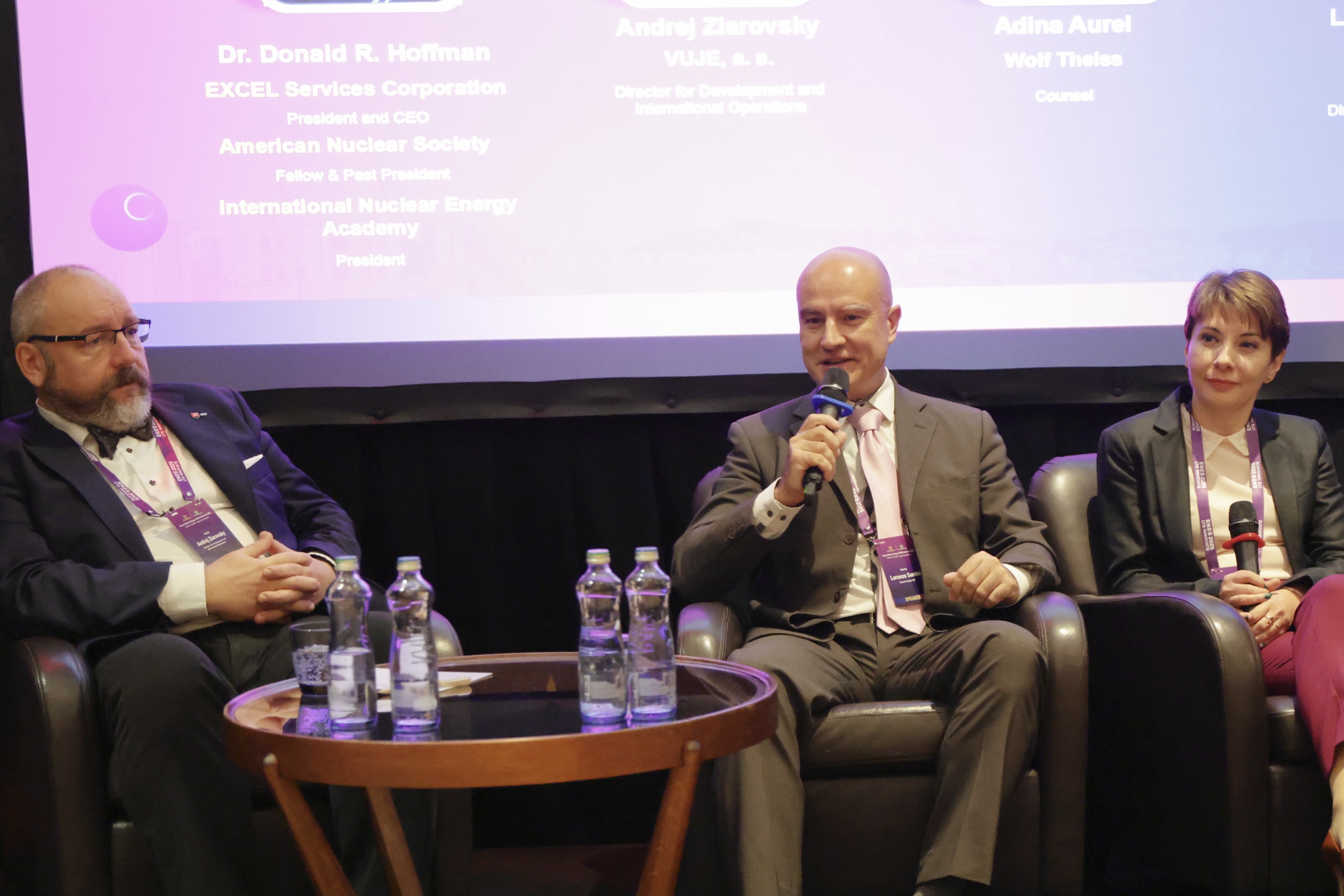 Day 2 Morning Panel-Lessons Learned from New Nuclear Projects: Strategies for Managing Schedule, Costs and Safety in Diverse Environments