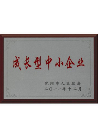 成长型中小企业