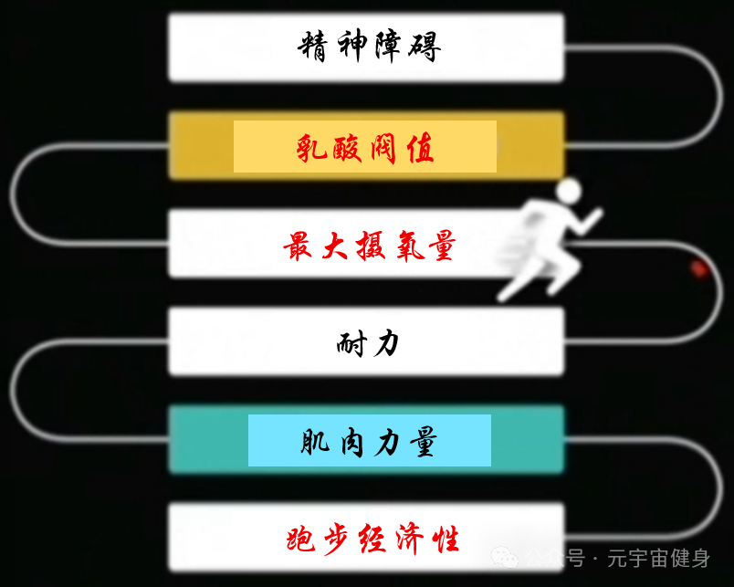 跑步不进步？科学家研究59位顶级跑者后，给出了这11个“最有效训练”答案