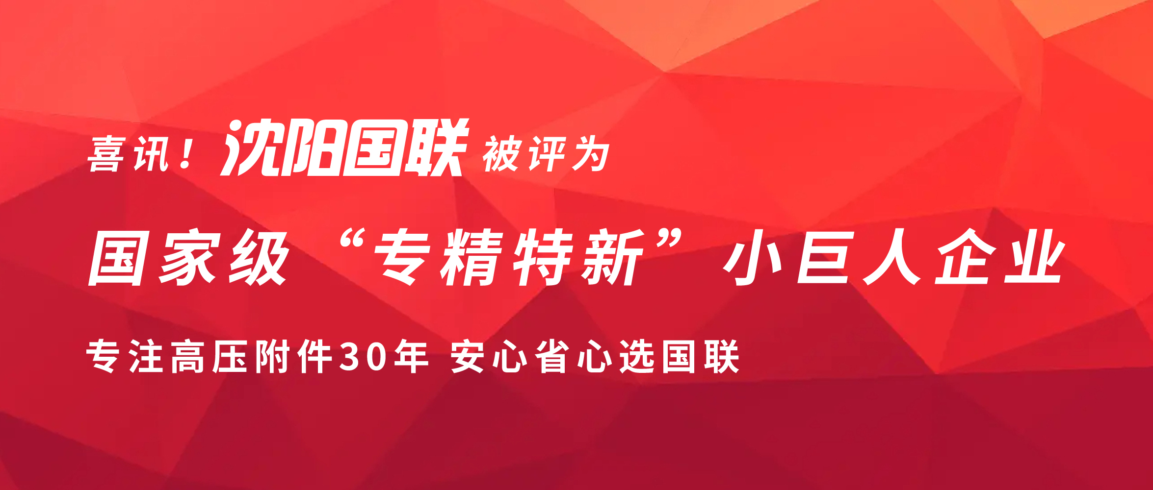 喜讯！沈阳国联被评为国家级“专精特新”小巨人企业